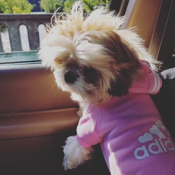 Meet your Posher, Kerry - Picture 5 of 6